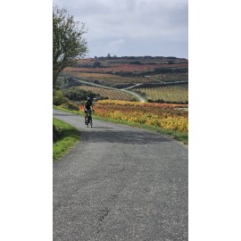 PACK RUTAS GUIADAS POR LA RIOJA 